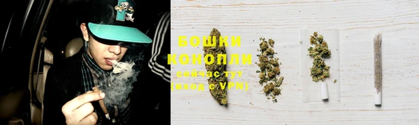стафф Горно-Алтайск