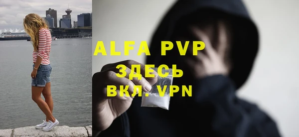СК Вяземский