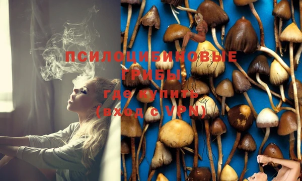 не бодяженный Саяногорск