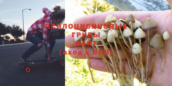 гашиш Вязники