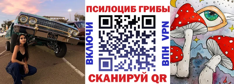 Галлюциногенные грибы мицелий  Заозёрск 